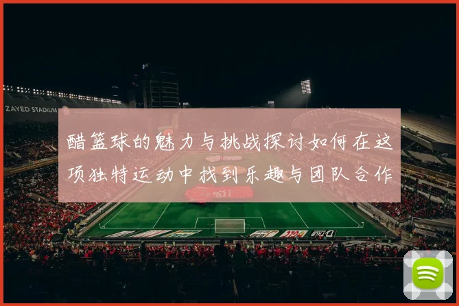 醋篮球的魅力与挑战探讨如何在这项独特运动中找到乐趣与团队合作的真谛