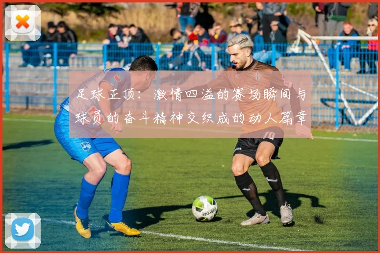足球正顶：激情四溢的赛场瞬间与球员的奋斗精神交织成的动人篇章